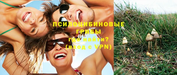эйфоретик Краснотурьинск