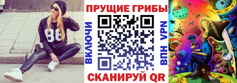 Галлюциногенные грибы Psilocybine cubensis  где можно купить наркотик  Новочебоксарск 