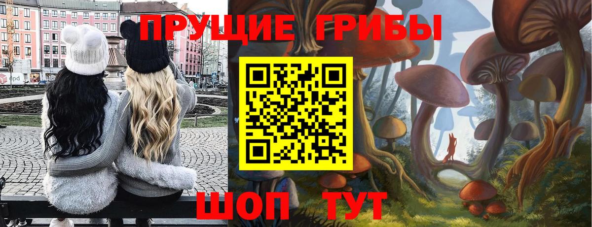Псилоцибиновые грибы ЛСД Новочебоксарск