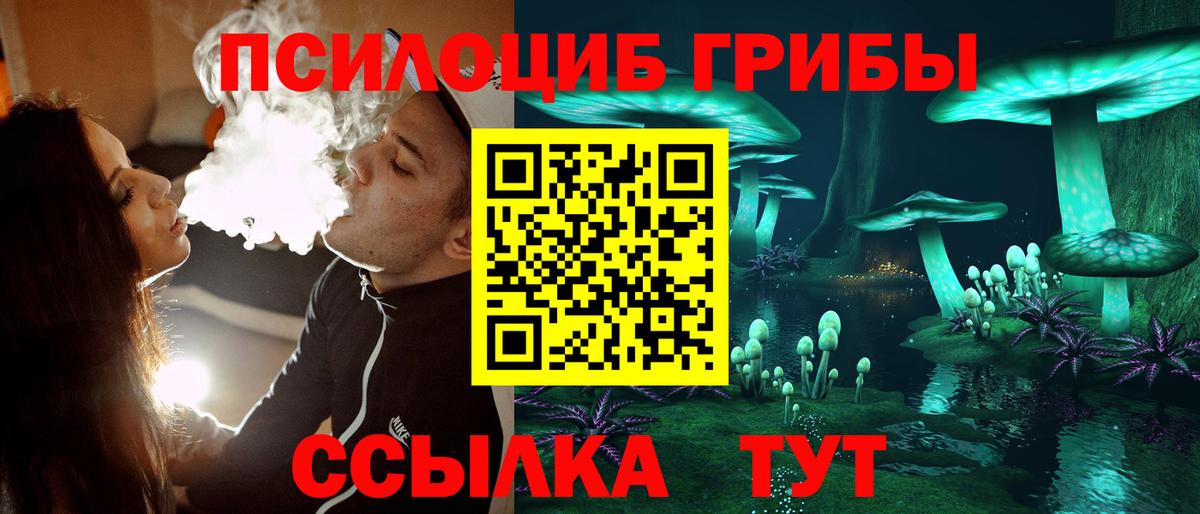 Новочебоксарск  Галлюциногенные грибы прущие грибы  Вход с VPN 