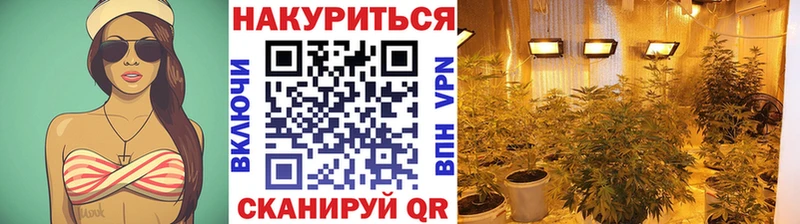 купить наркотики сайты  blacksprut   Бошки Шишки SATIVA & INDICA  Новочебоксарск 
